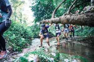 BIB: 
                            <button type="button" onclick="openModal(25442589)" class="btn btn-primary btn-sm float-right btn-popup" data-toggle="modal" data-target=".modal-high-quality">
                        <i class="fas fa-shopping-cart"></i> Add to Cart
                    </button>
                                            <button type="button" onclick="isThisMe(25442589, true)" class="btn btn-success btn-sm float-right btn-popup btn-isme hidden" data-toggle="tooltip" data-placement="bottom" title="นี่คือรูปของคุณใช่ไหม คลิกที่นี่เพื่อเอาเข้าอัลบั้ม">
                        <i class="fas fa-plus"></i> Add to album
                    </button>
                    <button type="button" onclick="isThisMe(25442589, false)" class="btn btn-warning btn-sm float-right btn-popup btn-isnotme hidden">
                        <i class="fas fa-ban"></i> Remove from album
                    </button>